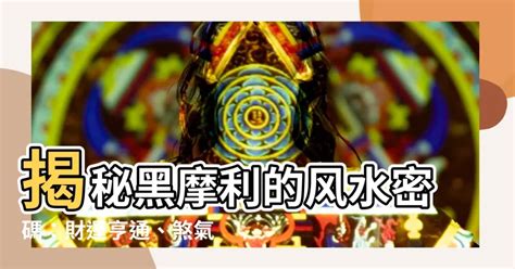 黑摩利點養|黑摩利風水佈局全攻略